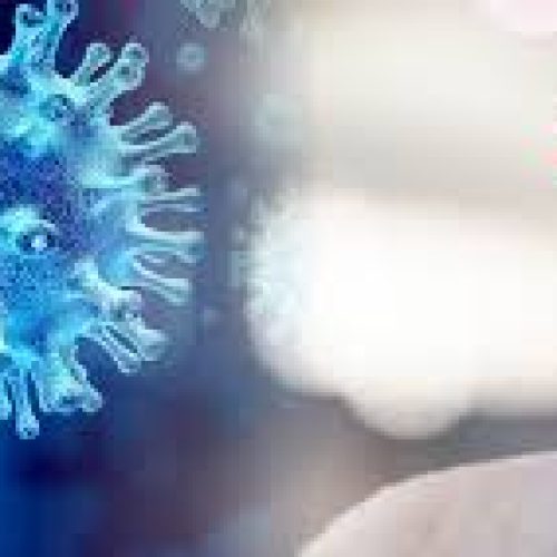 Detectado Primeiro Foco de Gripe Aviária em Criação Comercial no Brasil